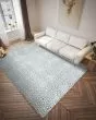 Akina AK2 Flannel Area Rug