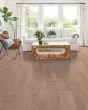 Albright Red Oak 3.25" Biscuit Lg Hardwood