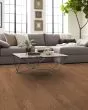 Albright Red Oak 3.25" Caramel Hardwood