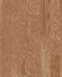 Albright Red Oak 3.25" Caramel Hardwood