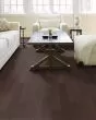 Albright Red Oak 3.25" Chocolate Hardwood