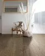Albright Red Oak 3.25" Kona Lg Hardwood