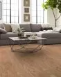 Albright Red Oak 3.25" Rustic Natural Hardwood