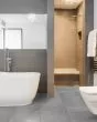 Alps Silver Slate Matte Porcelain Tile