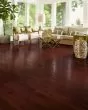 American Scrape Maple 5" Cranberry Woods Hardwood