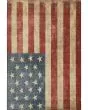 Americana AM1 Red 10'x14' Area Rug