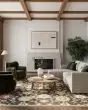 Antique Bloom ANB01 Black Area Rug