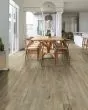 Anvil Plus 20 Mil Chatter Oak Luxury Vinyl