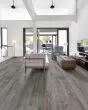 Anvil Plus Grey Chestnut Luxury Vinyl