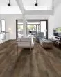 Anvil Plus Highlight Oak Luxury Vinyl