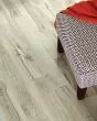 Anvil Plus 20 Mil Mineral Maple Luxury Vinyl