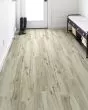 Anvil Plus 20 Mil Mineral Maple Luxury Vinyl
