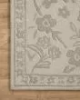Arboretum ARB-02 Ivory Area Rug