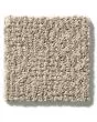 Ario Nylon Patterned 36oz Carpet