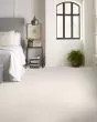 Artistic Presence Nylon Textured 48oz Carpet