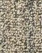 Aspen Creek Nylon Textured Loop 39oz Carpet