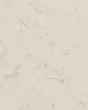 Aspen Quartz Countertop