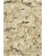 Astor 2268z Beige/Gold Area Rug