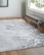 Astra 39L5F Gray/Silver/Ivory Area Rug