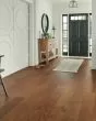 ArmorWood 7 1/2" Hill Forest Red Oak Hardwood