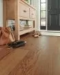 ArmorWood 7 1/2" Hill Forest Red Oak Hardwood