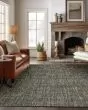 Abruzzo AZ1 Gray Area Rug