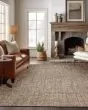 Abruzzo AZ1 Putty Area Rug