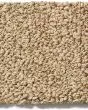 Bali Nylon Textured 48oz Carpet