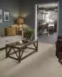 Basic Rules 58oz Textured Pet Friendly Carpet