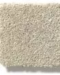 Basic Rules 58oz Textured Pet Friendly Carpet