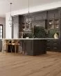 Belhancourt Toffee Burl Oak BelleLuxe 9" Laminate