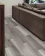 Belize Plank Exotic Ash Matte Wood Tile