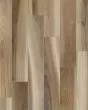 Belize Plank Exotic Natural Matte Wood Tile