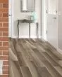 Belize Plank Exotic Walnut Matte Wood Tile