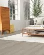 Cali Windansea High Tide Bird Rock Ridge Vinyl