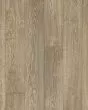 Black Forest Oak Weathered Restoration 6" Laminate