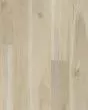COREtec Plus HD Integrated Blended Cocoon Luxury Vinyl