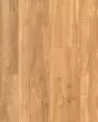 Cali Select Premium Blonde Ale Vinyl Plank
