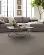 Bountiful Beauty Textured Nylon 43oz Carpet