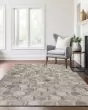 Bozeman BM1 Gray Area Rug