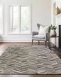 Bozeman BM11 Gray Area Rug