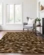 Bozeman BM2 Brown Area Rug