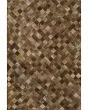Bozeman BM2 Brown 10'x14' Area Rug