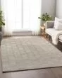 Bozeman BM4 Linen Area Rug
