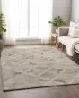 Bozeman BM8 Linen Area Rug