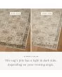 Briar BRR-04 Ivory/Multi Area Rug