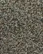 Bright Charisma SmartStrand Textured Carpet