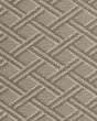 Brilliant Details Linen Carpet