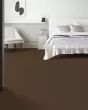 Brilliant Beauty Textured Pet Friendly Carpet
