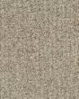Burbank Prairie Carpet